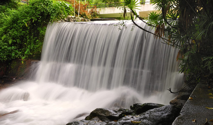 Botanical Gardens Waterfall