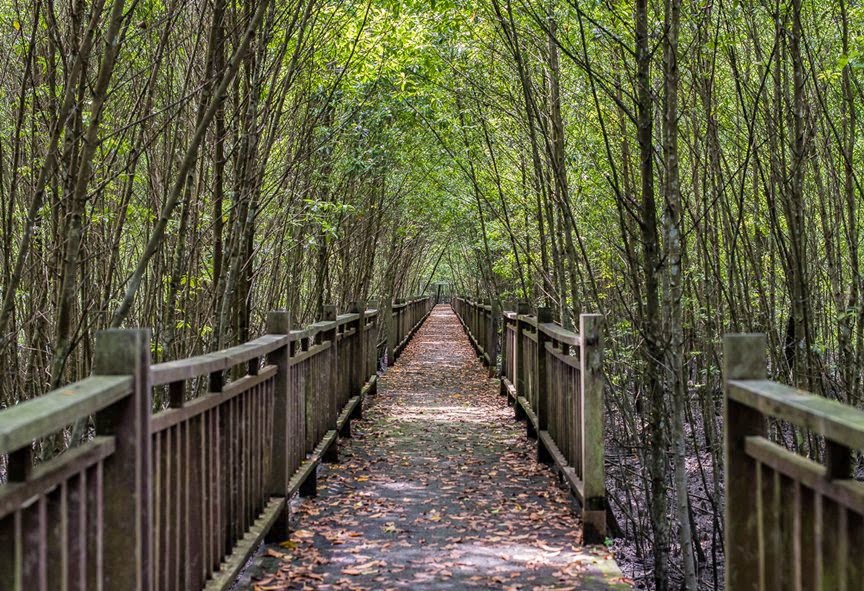 Kuala Selangor Nature Park