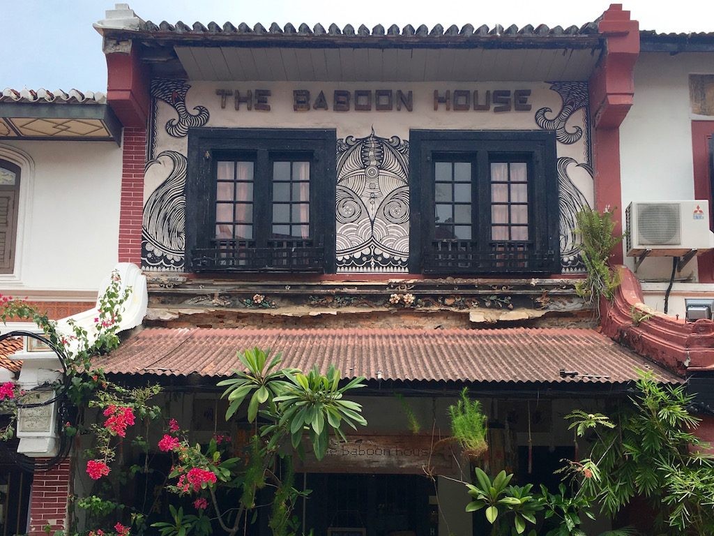 The Baboon House